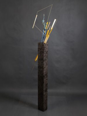 Tosi-VTOSI-V_01